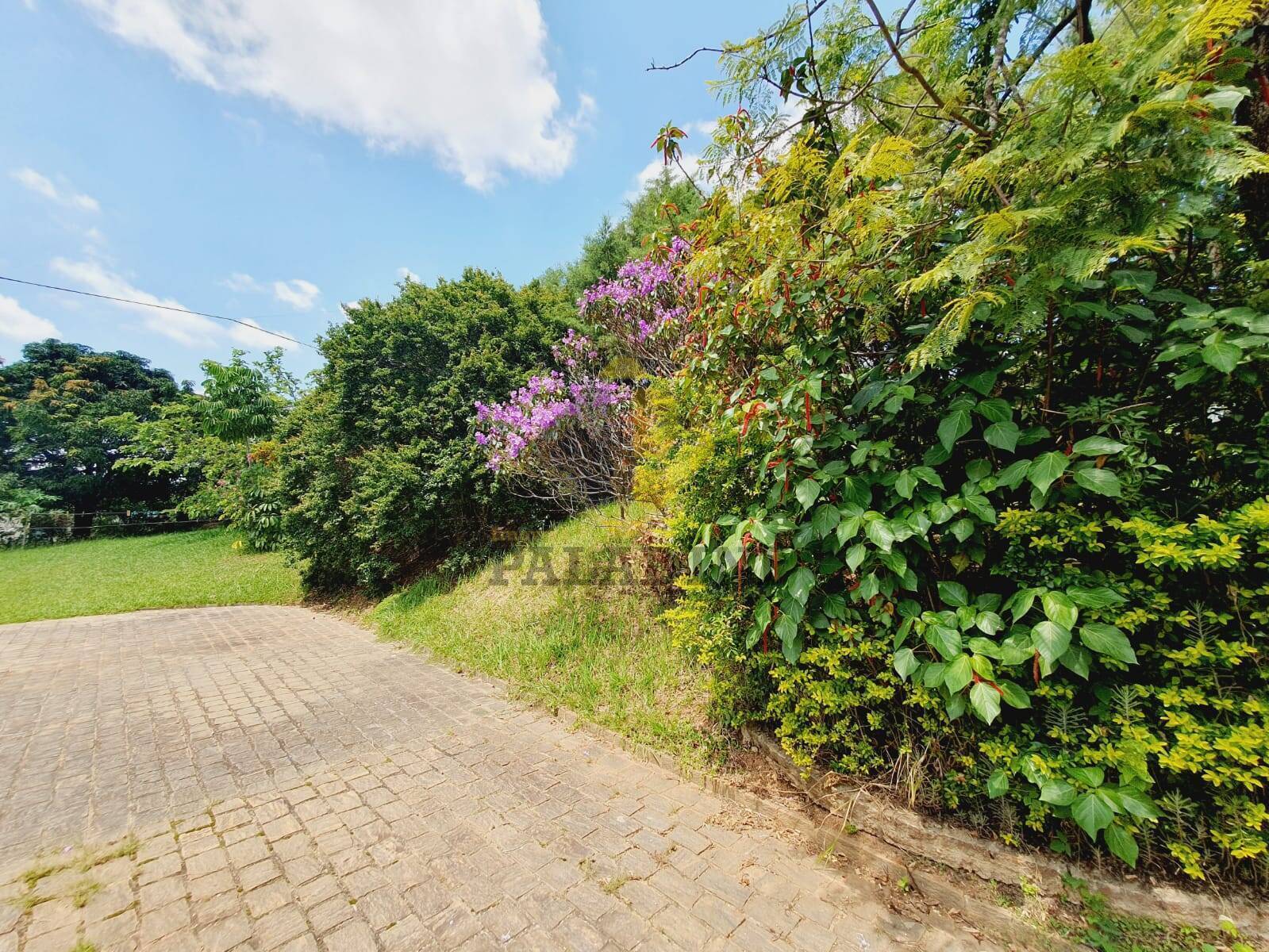 Casa, 5 quartos, 570 m² - Foto 22