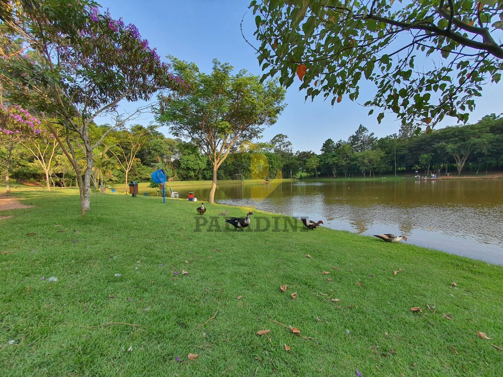 Terreno, 538 m² - Foto 7