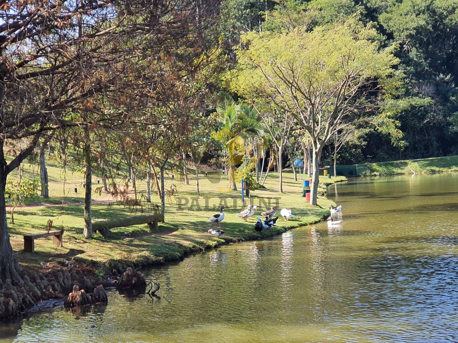 Terreno, 538 m² - Foto 13