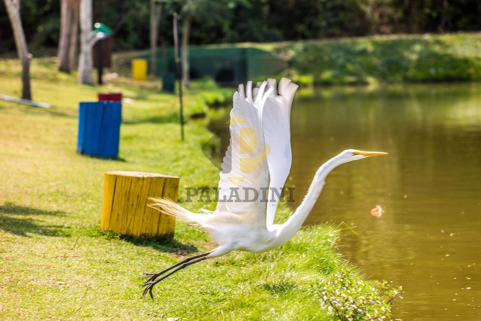 Terreno, 367 m² - Foto 35