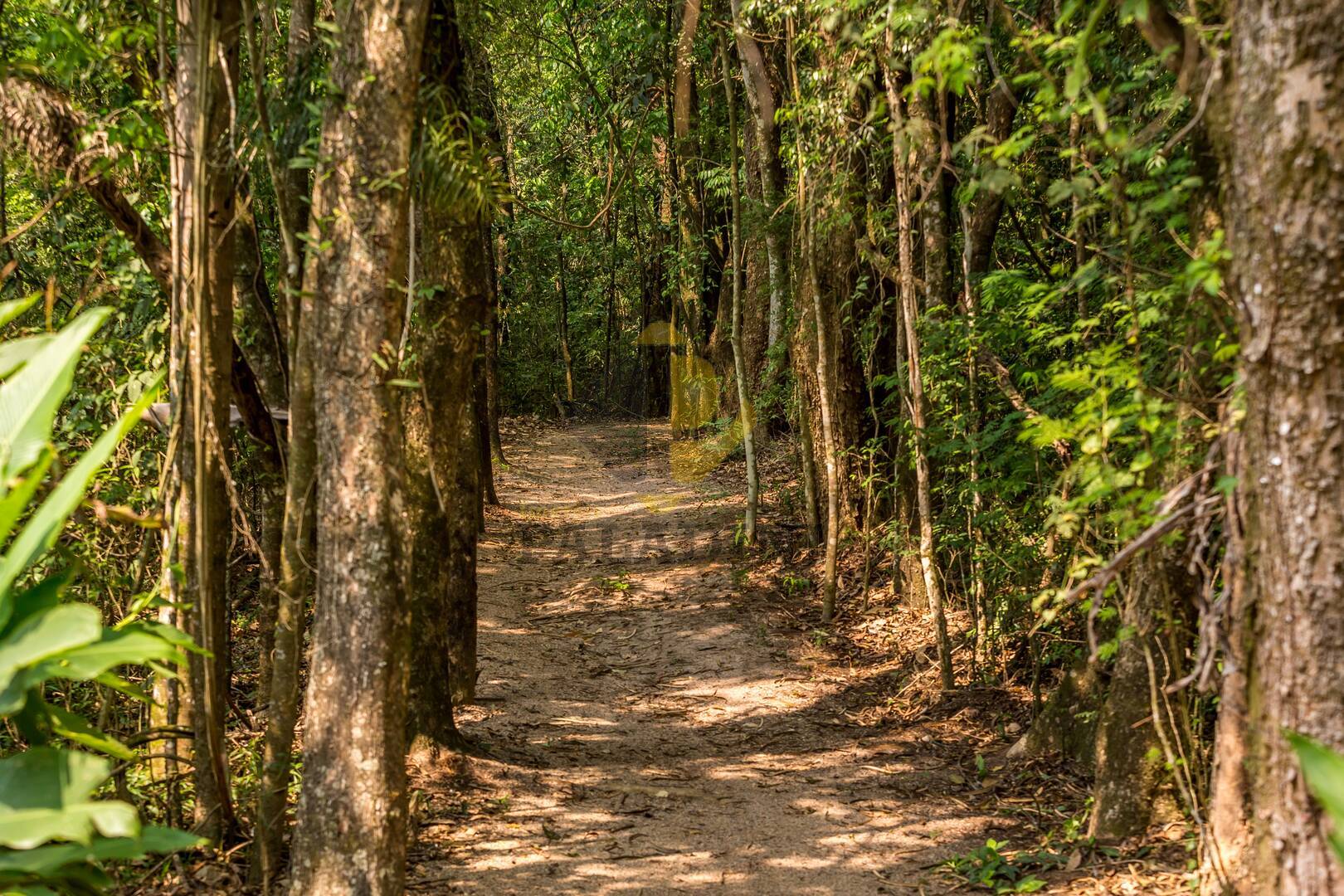 Terreno, 368 m² - Foto 19