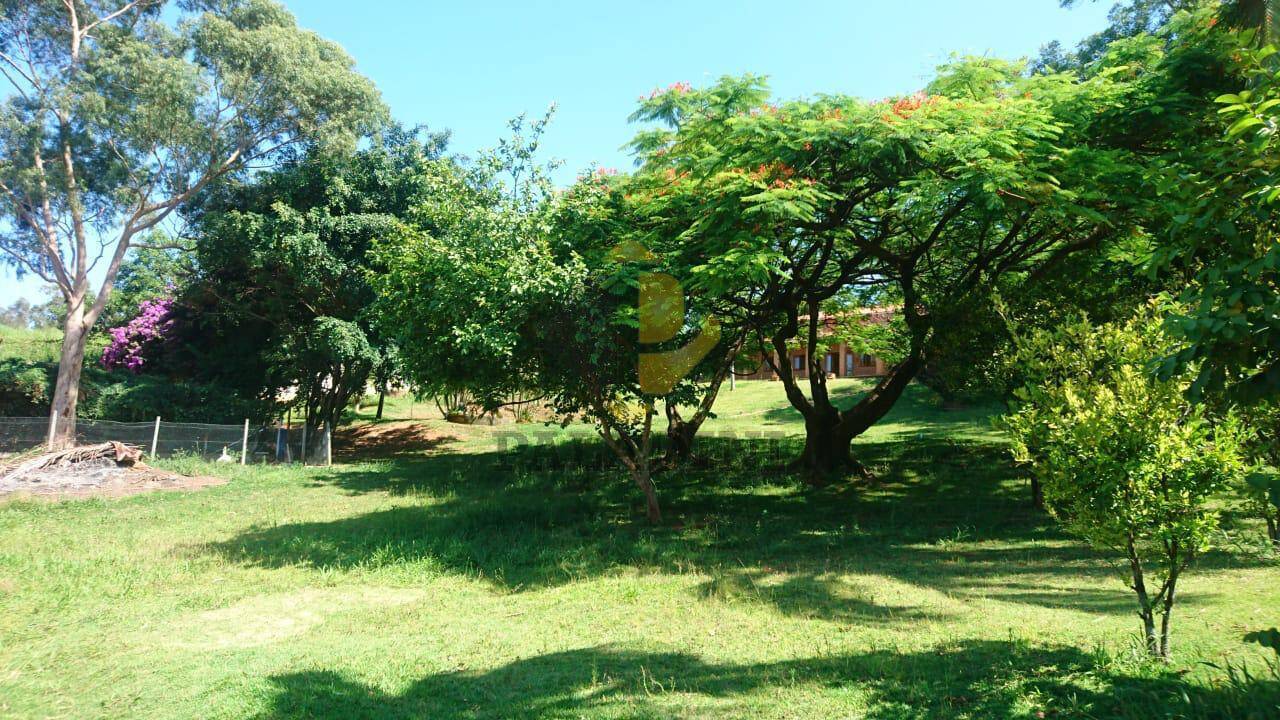Sítio, 4 quartos, 5000 m² - Foto 3